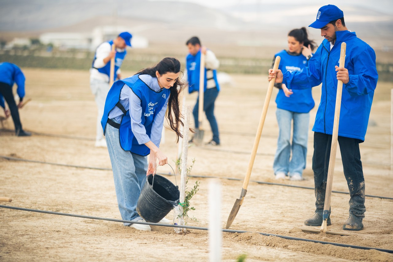Bank of Baku-dan yaşıl təşəbbüs – növbəti ağacəkmə aksiyası keçirildi